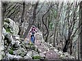 IMG_2936.JPG