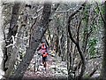 IMG_2939.JPG