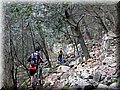 IMG_2940.JPG