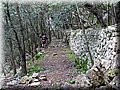 IMG_2941.JPG