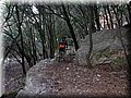 IMG_2942.JPG