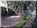 IMG_2944.JPG