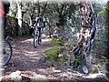 IMG_2945.JPG