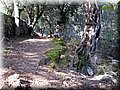 IMG_2946.JPG