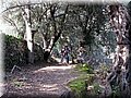 IMG_2947.JPG