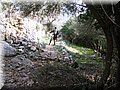 IMG_2958.JPG