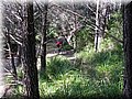 IMG_2975.JPG