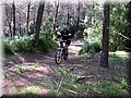 IMG_2978.JPG