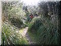 IMG_2980.JPG