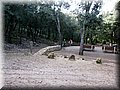 IMG_3691.JPG