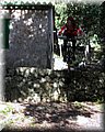 IMG_3694.JPG