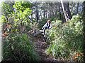 IMG_3711.JPG