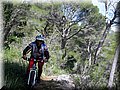 IMG_3717.JPG