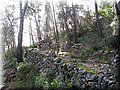 IMG_3719.JPG