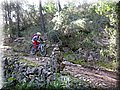 IMG_3720.JPG
