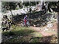 IMG_3722.JPG