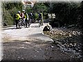 IMG_3735.JPG