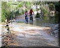 IMG_3736.JPG