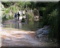 IMG_3740.JPG