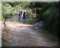 IMG_3741.JPG
