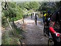 IMG_3748.JPG