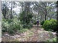 IMG_3753.JPG