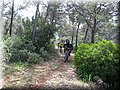 IMG_3757.JPG