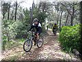 IMG_3758.JPG