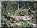 IMG_3765.JPG