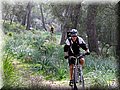 IMG_3776.JPG