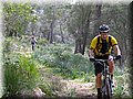 IMG_3780.JPG