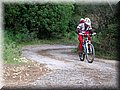 IMG_3784.JPG