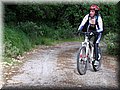IMG_3786.JPG