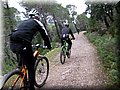 IMG_3983.JPG