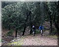 IMG_3989.JPG