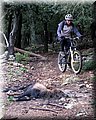 IMG_3995.JPG