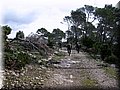 IMG_4005.JPG