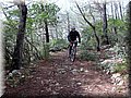 IMG_4009.JPG