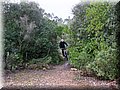 IMG_4011.JPG