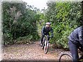 IMG_4012.JPG