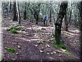 IMG_4021.JPG
