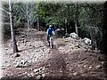 IMG_4024.JPG