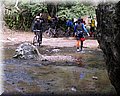 IMG_4031.JPG