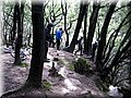 IMG_4033.JPG