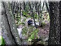 IMG_4041.JPG