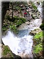 IMG_4047.JPG