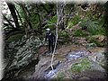 IMG_4072.JPG