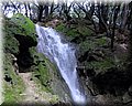 IMG_4081.JPG