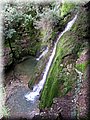 IMG_4083.JPG