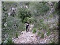 IMG_4085.JPG